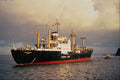 535013 German Poseidon Line Vessel TRANSMICHIGAN A4 Photo Print
