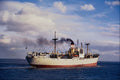 535014 PETROS, Cypriot Flag Steamer A4 Photo Print