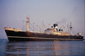 535041 RUBENS, British Lamport And Holt Steamer A4 Photo Print