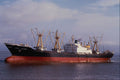 535045 LALAZAR, Pakistan Shipping Co. Cargo Vessel A4 Photo Print