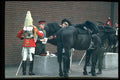 536032 Knightsbride, England A4 Photo Print