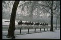 536040 Blues And Royals Guard, England A4 Photo Print
