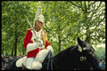 536056 Household Cavalry On Horseback, London, England A4 Photo Print