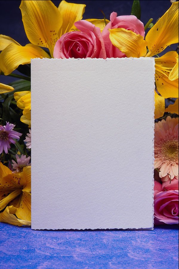 537000 Cards And Flowers A4 Photo Print