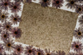 537005 Paper And Daisies A4 Photo Print