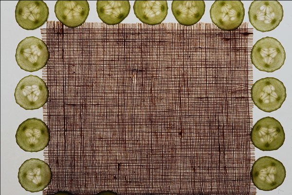 537008 Cucumber And Burlap A4 Photo Print
