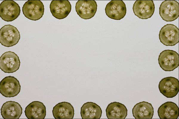 537018 Cucumber A4 Photo Print