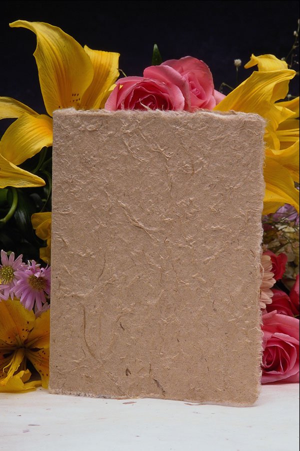537024 Card And Flowers A4 Photo Print