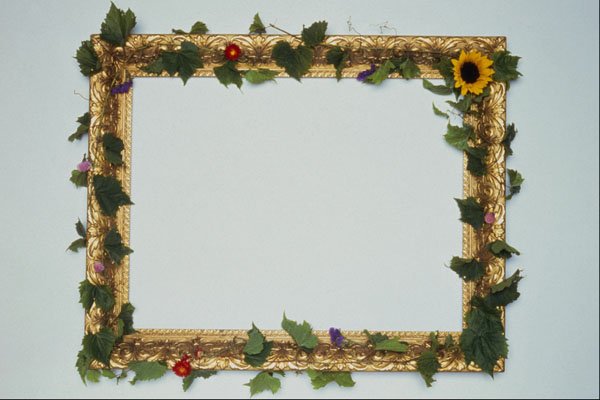 537032 Antique Frame A4 Photo Print