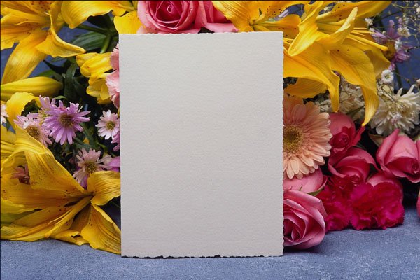 537033 Card And Flowers A4 Photo Print