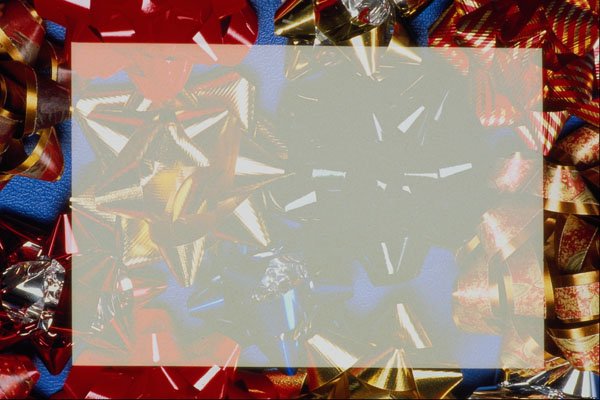 537038 Christmas Bows A4 Photo Print