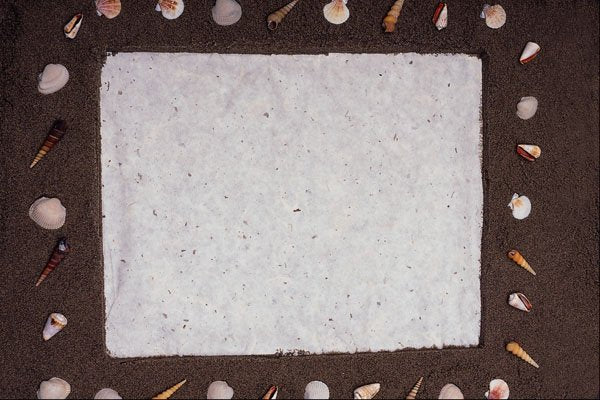 537040 Sand And Shells A4 Photo Print