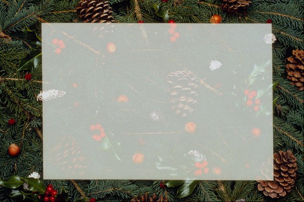 537043 Christmas Tree A4 Photo Print