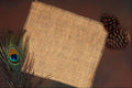 537046 Burlap And Peacock Feather A4 Photo Print