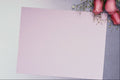 537049 Paper And Roses A4 Photo Print