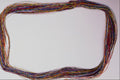 537050 Wine A4 Photo Print