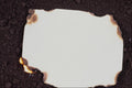 537051 Burnt Paper A4 Photo Print