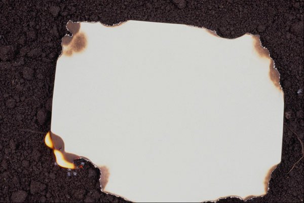 537051 Burnt Paper A4 Photo Print