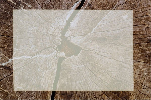 537056 Wood A4 Photo Print
