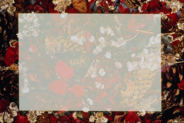 537063 Potpourri A4 Photo Print