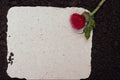 537074 Paper On Dirt A4 Photo Print