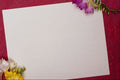 537079 Paper And Flowers A4 Photo Print