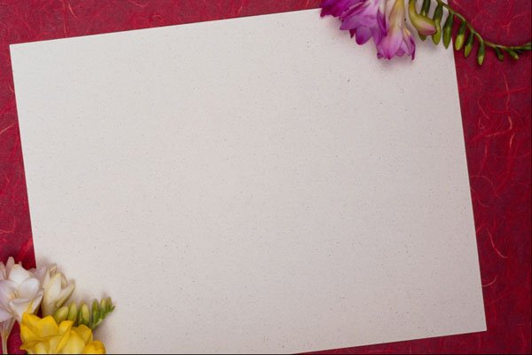 537079 Paper And Flowers A4 Photo Print