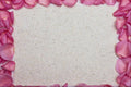 537084 Rose Petals A4 Photo Print
