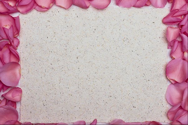 537084 Rose Petals A4 Photo Print