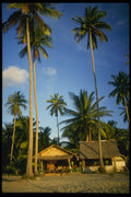 538013 Beach Hut, Koh Pee Pee, Thailand A4 Photo Print