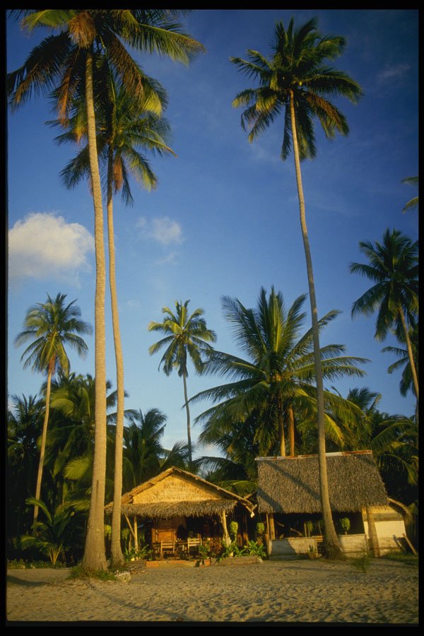 538013 Beach Hut, Koh Pee Pee, Thailand A4 Photo Print