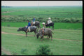 538019 Buffalo Boys In The Rain, Vietnam Laos A4 Photo Print