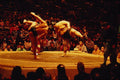 538048 Sumo Dance, Tokyo, Japan A4 Photo Print