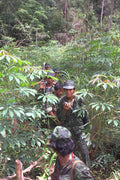 538061 Cambodian Guerrilla Patrol, Cambodia A4 Photo Print