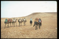 539002 Camel Caravan, Egypt A4 Photo Print