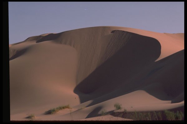 539008 Sand Dunes, Algeria A4 Photo Print
