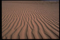 539009 Sand Ripples, Algeria A4 Photo Print