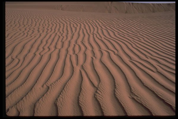 539009 Sand Ripples, Algeria A4 Photo Print