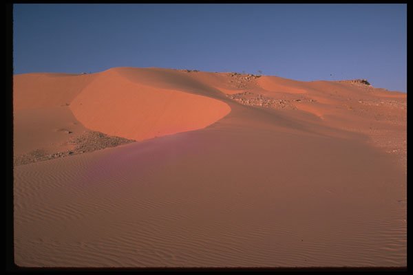 539010 Sand Dunes, Algeria A4 Photo Print