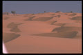 539012 Sand Dunes, Algeria A4 Photo Print