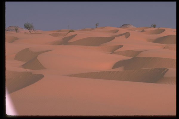 539012 Sand Dunes, Algeria A4 Photo Print