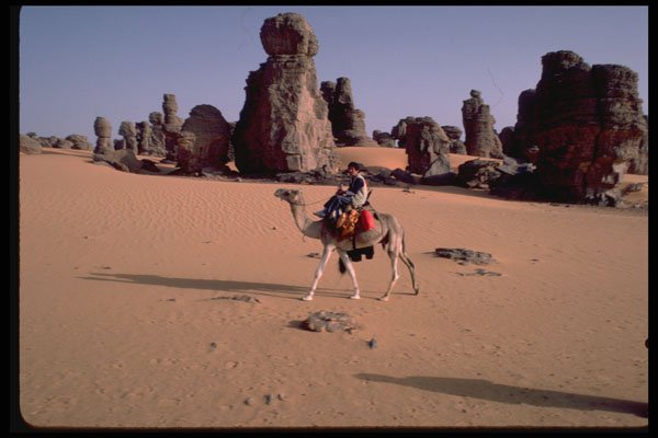 539015 Camel Trek To Old Djanet, Algeria A4 Photo Print