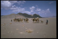 539038 Nomad Camel Train, Iran A4 Photo Print
