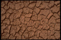 539041 Desert Floor A4 Photo Print