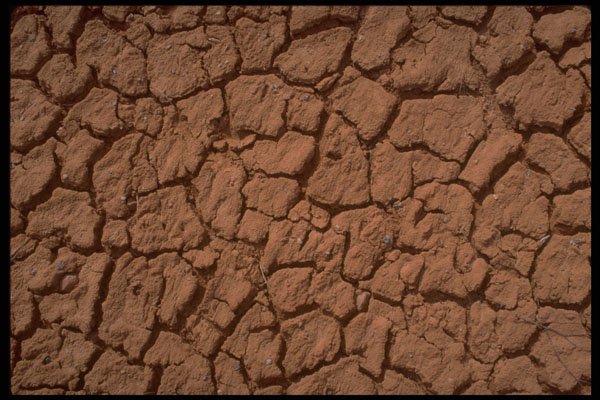 539041 Desert Floor A4 Photo Print