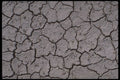 539042 Gray Desert Floor A4 Photo Print