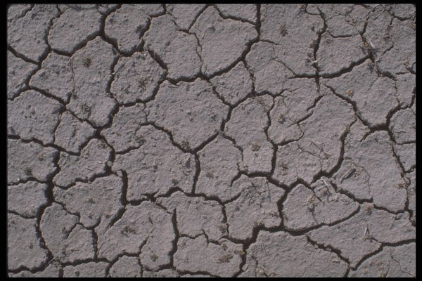 539042 Gray Desert Floor A4 Photo Print
