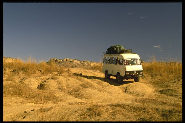 539043 Scrubland, Madagascar Island A4 Photo Print