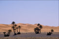 539045 Southern Moroccan Desert, Morocco A4 Photo Print
