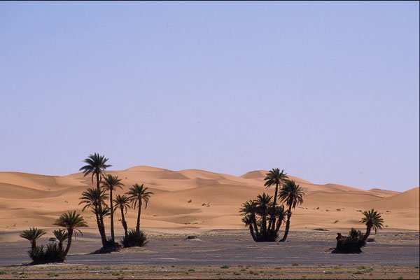 539045 Southern Moroccan Desert, Morocco A4 Photo Print